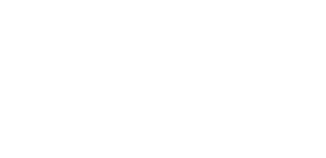 Education Vibes LLP